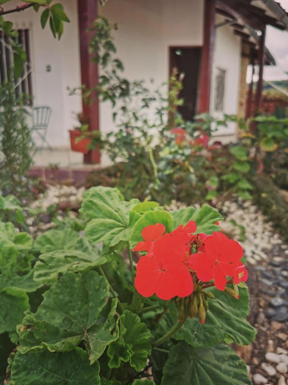 La Cabana - Samaipata Esterno foto